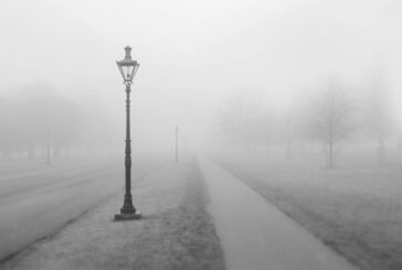 Recomendaciones para manejar durante niebla y neblina