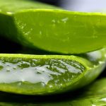 El aloe vera y sus benéficos efectos en tu cuerpo