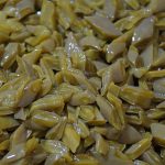 Nopales: plantas deliciosas, nutritivas y medicinales; ¡Cómelos a diario!