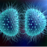 Hombre contrae una ‘súper gonorrea’ y... ¡ningún medicamento le hace efecto!