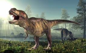 Hallan al Tyrannosaurus rex más grande del mundo