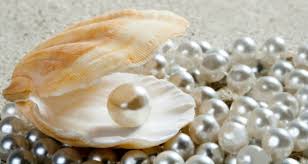 Pearling o genital beading, la práctica que busca incrementar el placer en el sexo
