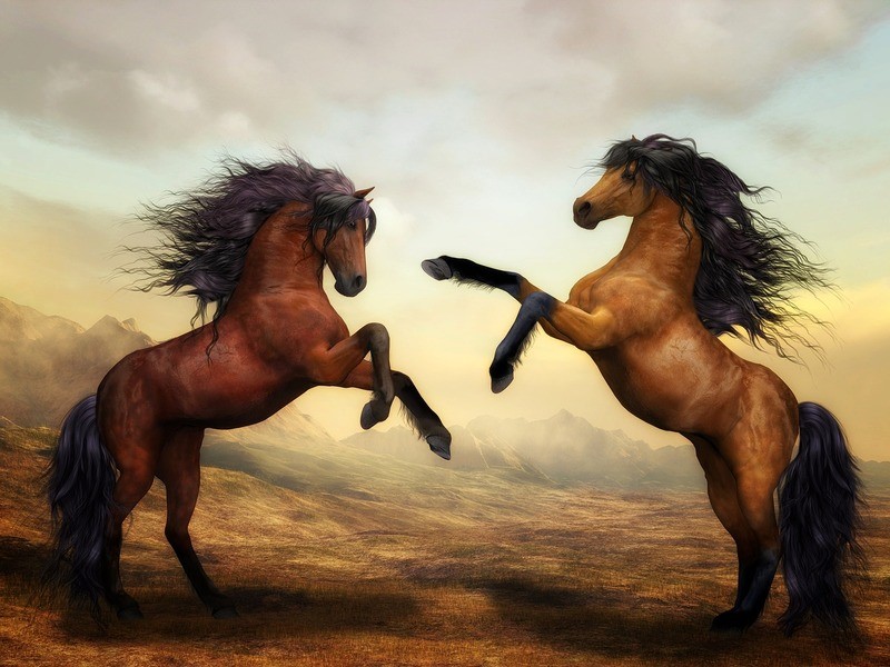 Caballos que hicieron historia