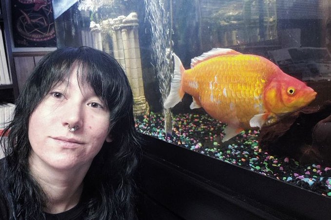 Adquiere un diminuto pez dorado y resulta ser... ¡un 'monstruo' carnívoro!