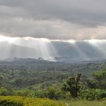 Selva tropical del Congo pierde capacidad de absorber CO2