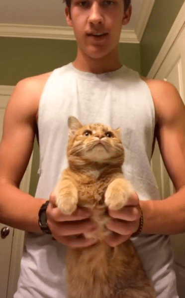 Gato y su dueño aceptan reto viral de baile y enloquecen TikTok (video)