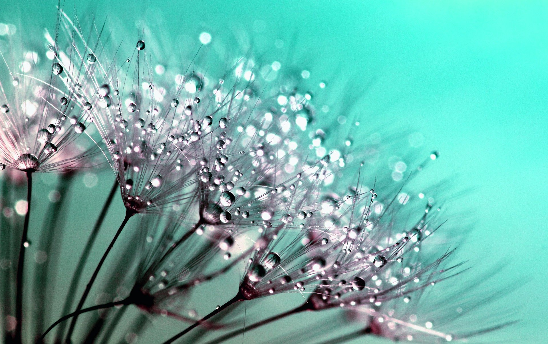 Foto: InspiredImages/Pixabay