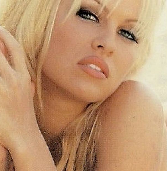 #BodaDePelícula: #PamelaAnderson se casó con su #guardaespaldas