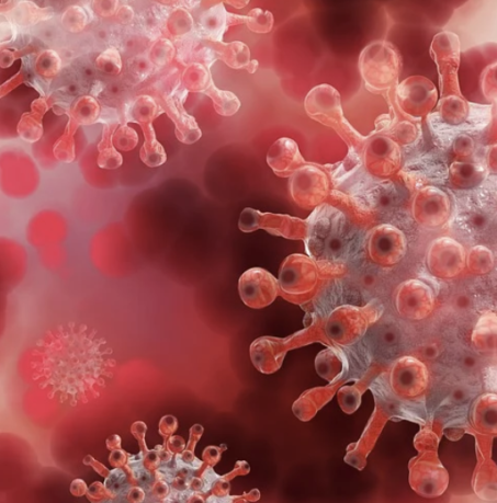 Ssa investiga posible variante mexicana del SARS-CoV-2