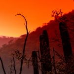 Un antropólogo incómodo para el gobierno y su travesía con campesinos por el desierto mexicano