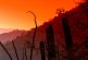 Un antropólogo incómodo para el gobierno y su travesía con campesinos por el desierto mexicano