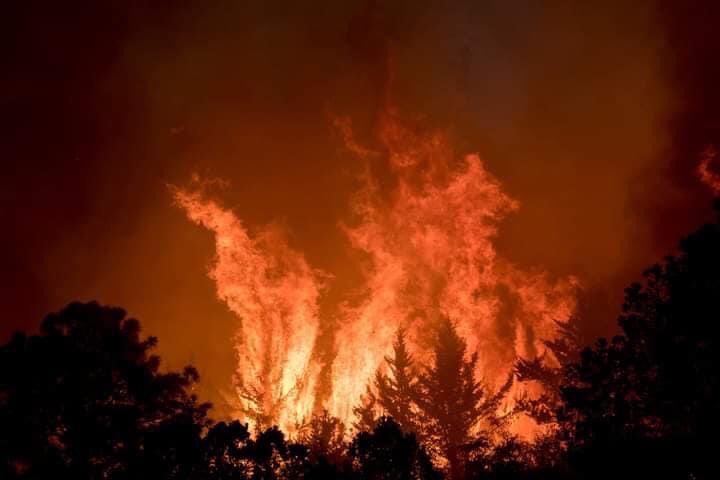Plantean extinción de dominio para quien provoque incendios forestales con fines de lucro