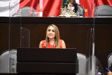 Movimiento Ciudadano respalda el acuerdo del INE para evitar mayorías artificiales