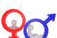 Falso debate sobre #género y política identitaria, desvía los asuntos mundiales