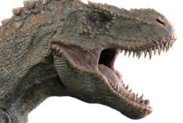 Identifican restos de una especie desconocida de dinosaurio rex, que vivió en la Patagonia hace 80 millones de años