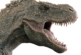 Identifican restos de una especie desconocida de dinosaurio rex, que vivió en la Patagonia hace 80 millones de años