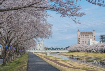 Japón verterá al mar agua tratada de la planta nuclear de Fukushima