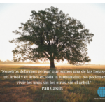 Las hojas y el árbol