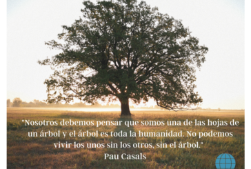 Las hojas y el árbol