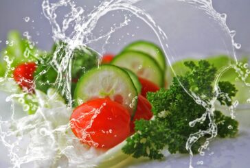 Las vicisitudes de un vegetariano y las travesuras del aguardiente