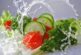 Las vicisitudes de un vegetariano y las travesuras del aguardiente