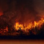 México suma 73 incendios forestales activos; más de 15 mil hectáreas afectadas