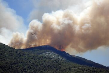 Incendios forestales devastan Colima, Edomex, Michoacán y Morelos