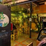 El Patio Café: Un acogedor rincón para relajarse en la Letrán Valle