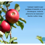 Plantaría mi manzano