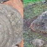 El Palacio del Rey Caltzontzin o Los Palacios, un lugar misterioso en Penjamillo, Michoacán