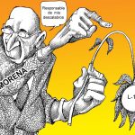 Deshojando la margarita