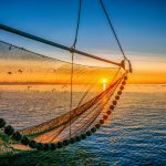 Urgen atender el tema del embargo al camarón mexicano de altamar