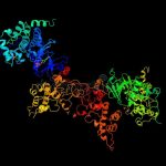 Inteligencia Colectiva: El Proteoma humano y la era postgenómica