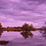 Reportan más de 150 muertos por apocalípticas inundaciones en Europa