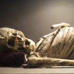 Las momias que México perdió en 1895, las vendieron a un circo