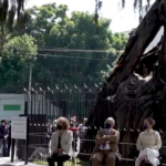 El Árbol de la Noche Triste, ¿Y si el de Naucalpan es el real?