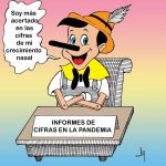 El experto