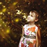 “El Santuario de Don Manuel”: Edén de las mariposas monarca y de las luciérnagas