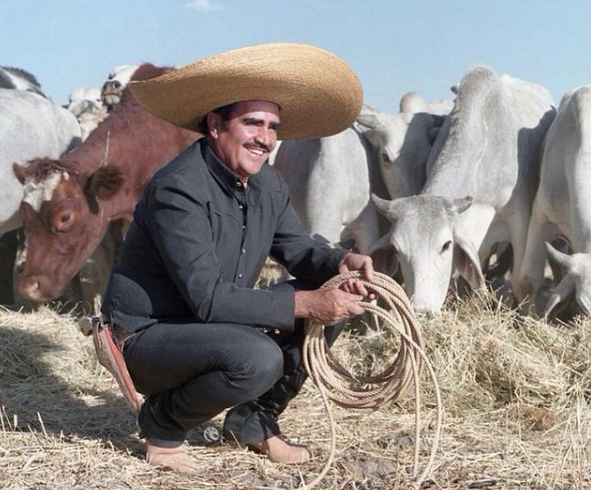 Foto: Instagram _vicentefdez