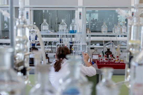 Del desecho a la mesa: La biotecnología mexicana que revoluciona la nutrición