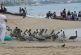 Por acumulación de basura, declaran emergencia sanitaria en Acapulco 