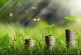 Para fomentar la competitividad del país, pugnan porque la economía transite a una modalidad circular verde