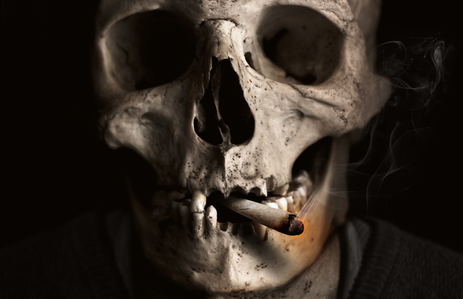 Foto: Comfreak