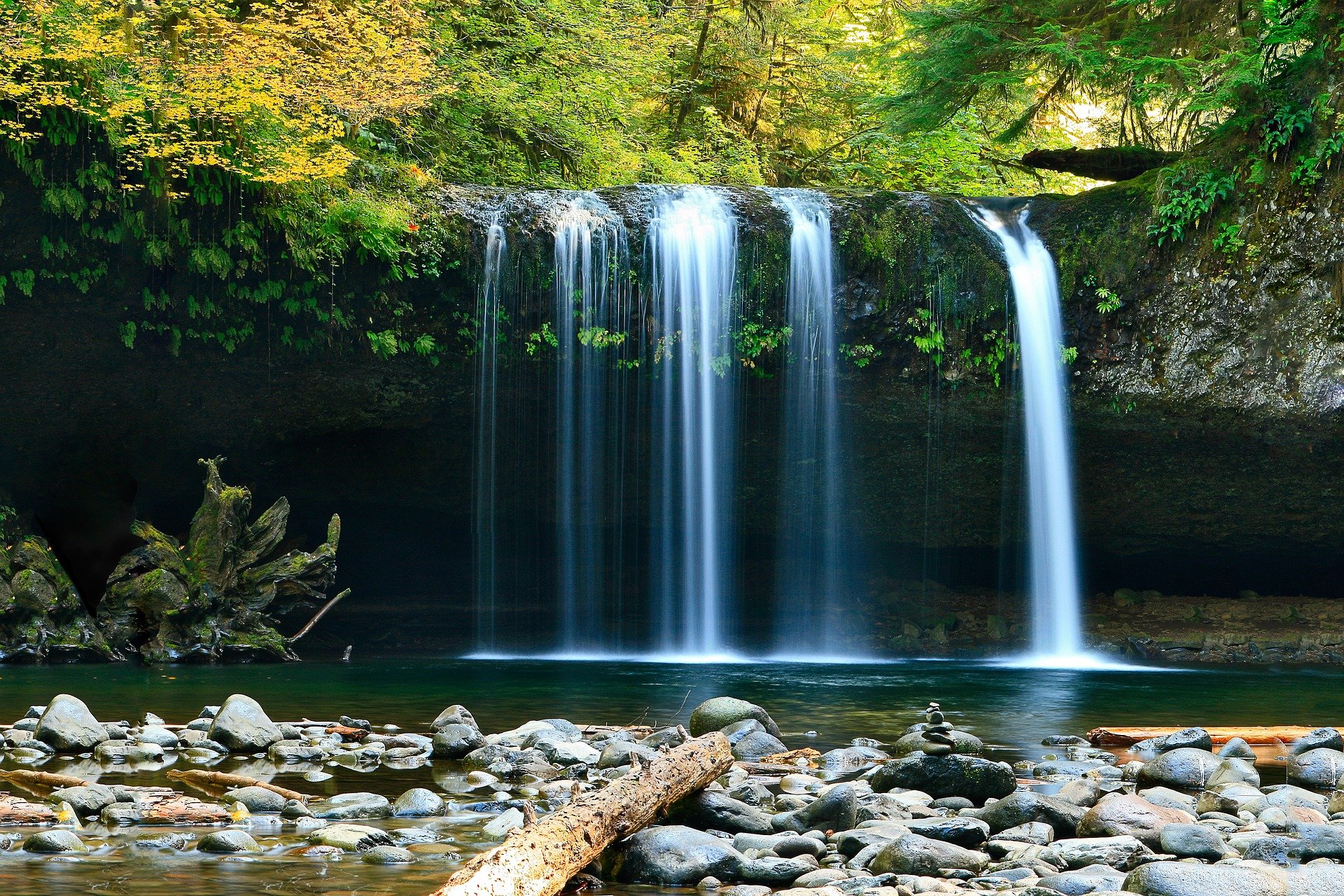 Imagen: Free-Photos