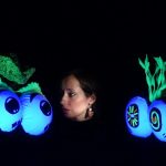 ¿Por qué la gallina cruzó el camino? de Teatro ReNo, anuncia temporada en el Foro La Gruta