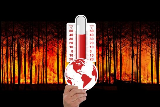 Mexicali bajo fuego: El termómetro rompe récord de 51.4 °C y desata crisis mortal por calor extremo