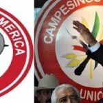 LA CNC no paga a trabajadores; los dieron de baja del IMSS  