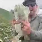 Salen miles de dólares de camión blindado; arrestan a ciudadanos por recogerlos