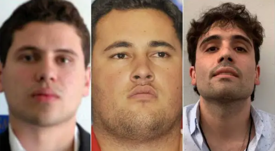 Foto: Redes Sociales