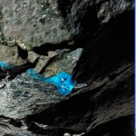 Hallan misteriosa sustancia azul brillante en una mina abandonada; nadie sabe qué es